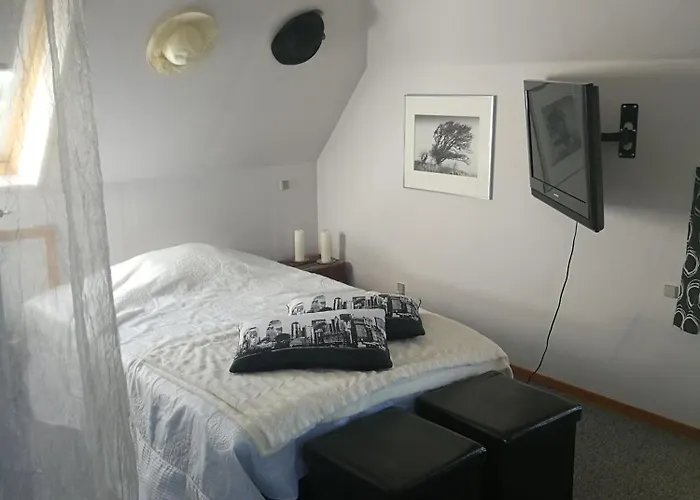 民宿 Rooms4you 博雷